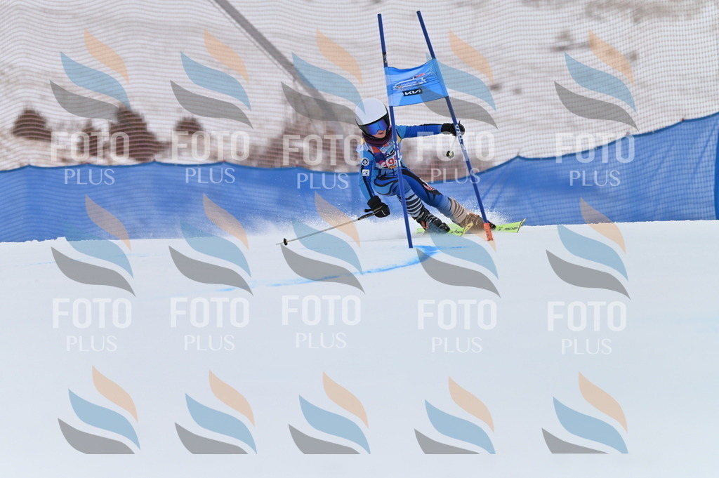 BGV_1663 | holidayphoto