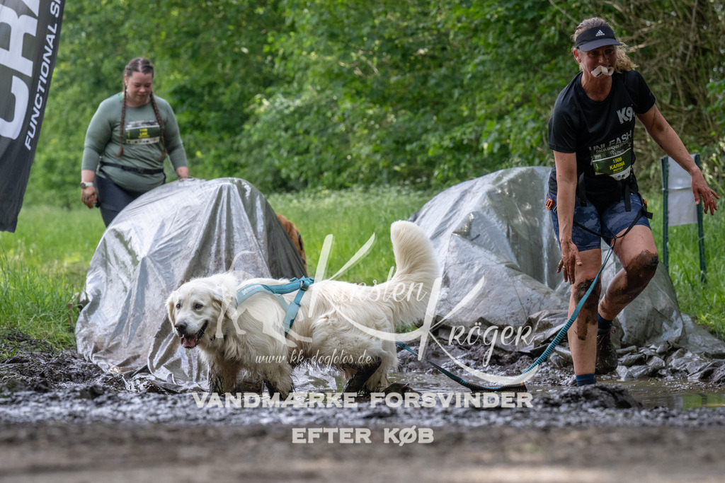 1241_ZZ93115 | kk-dogfotos