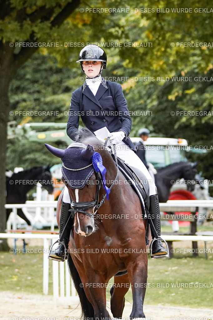 DSC02516 | Pferdegrafie