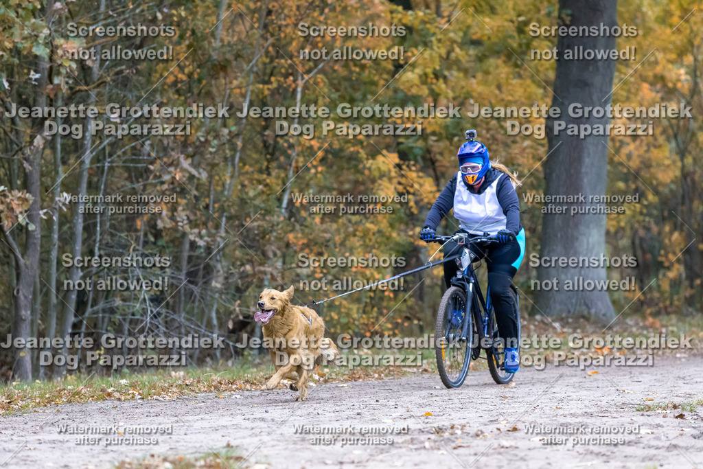 Dog Paparazzi - SD CaniX Championship 2025-268 | Dog Paparazzi Jeanette Grottendiek Fotografie & Videografie - Realisiert mit Pictrs.com