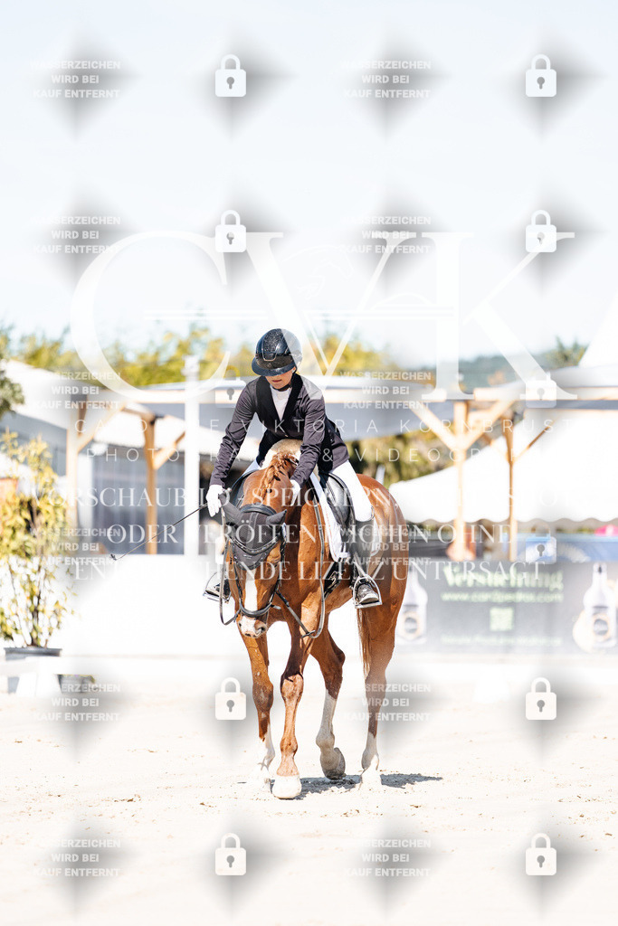 CK908968 | Turnierfotografie Pferdefotografie Trier Rheinland-Pfalz Pferdesport Reitsport Tierfotografie Sportfotografie Pferdevideo Pferdevideografie Equestrianvideography equestrianphotography  - Realisiert mit Pictrs.com