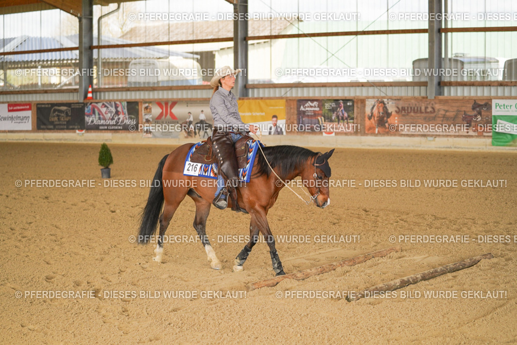 DSC02144 | Pferdegrafie