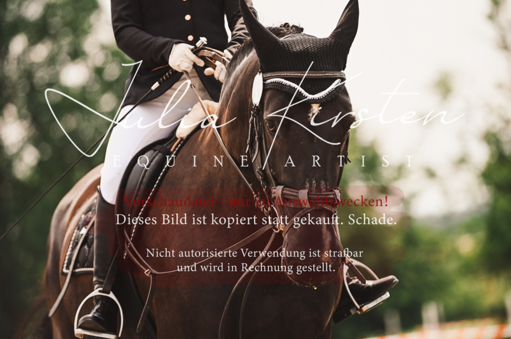 DSC_6322 | Pferde- und Turnierfotografie in Westsachsen. Pferdeportraits, Auftragszeichnungen und intuitive Kunst.