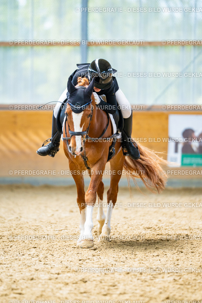 DSC09682 | Pferdegrafie