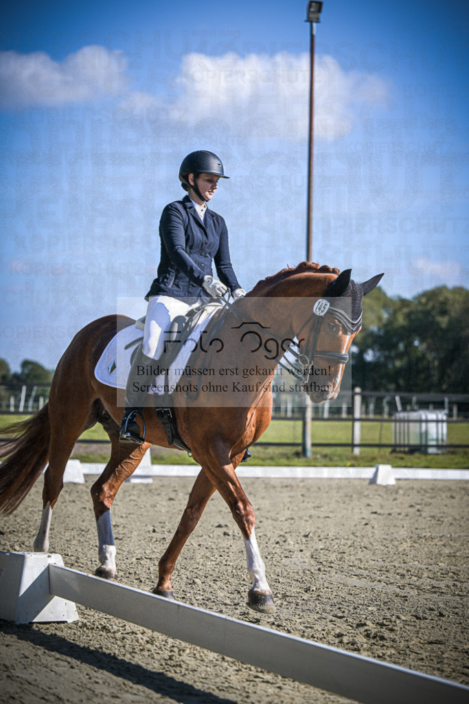DOS_2697 | Entdecke hochwertige Reitturnierfotos von Foto Oger. Professionell, emotional und authentisch – jetzt Lieblingsmomente im Shop bestellen.Deutschlandweite Turnierfotografie. - Realisiert mit Pictrs.com