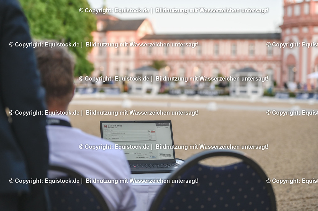 D78_3384 | equistock