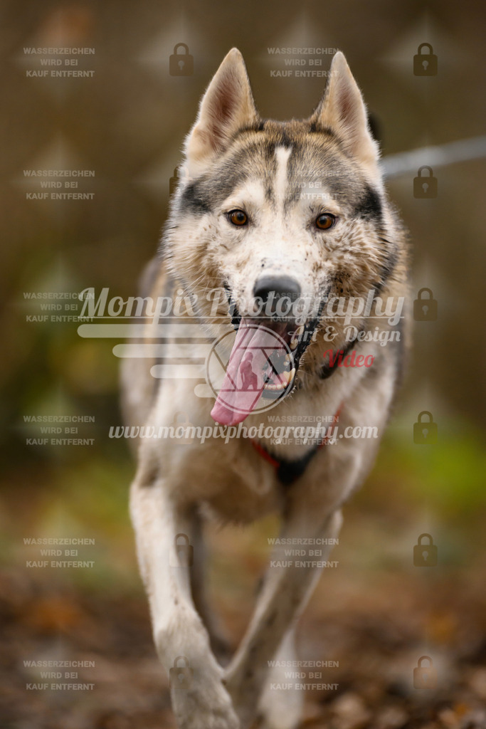 MompixPhotography_Eschau2024_CCC-63 | PayLife