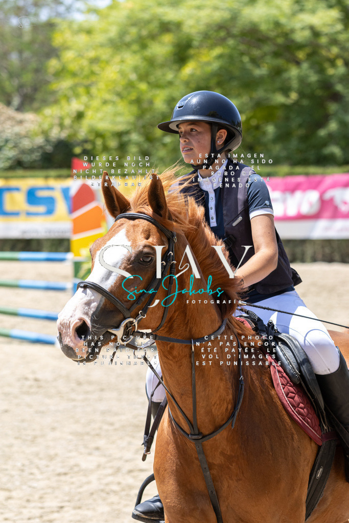 IMG_1223 | s-jay-photography - Realisiert mit Pictrs.com