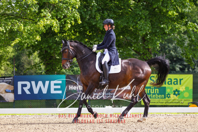 DKP41467 | Deine Turnierfotos vom Reitturnier online kaufen: Dressur, Springen & Siegerehrung. Professionelle Pferdefotografie aus dem Rheinland – als Download & Print.Alternative: Turnierfotograf für den Pferdesport: Finde deine Fotos von Dressur- und Springturnier