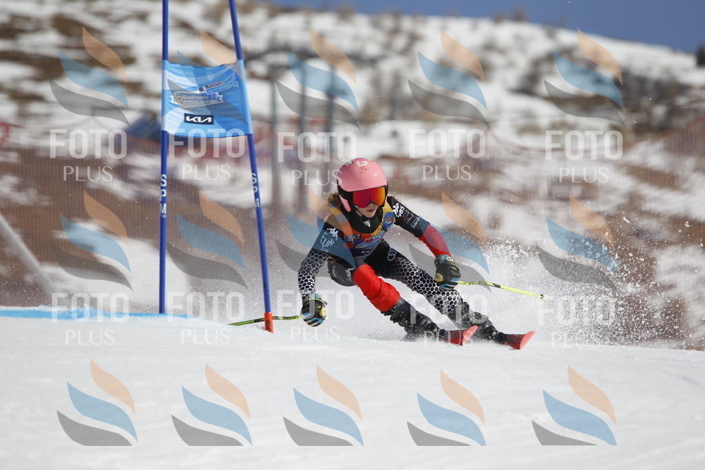 _U3G9622 | holidayphoto