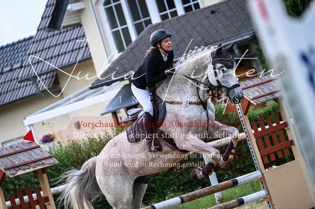 DSC_8349 | Pferde- und Turnierfotografie in Westsachsen. Pferdeportraits, Auftragszeichnungen und intuitive Kunst.