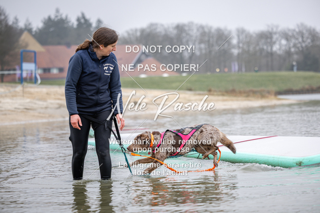 nelerasche_Hulsbeek_Sa1030-1100_71 | nelerasche