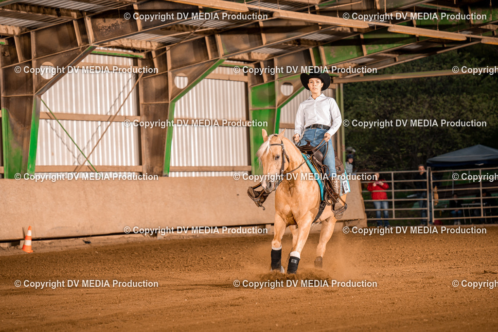 BA301400 | dv-media-shop - Realisiert mit Pictrs.com