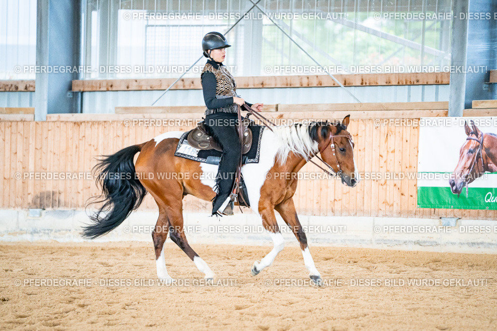 DSC02438 | Pferdegrafie