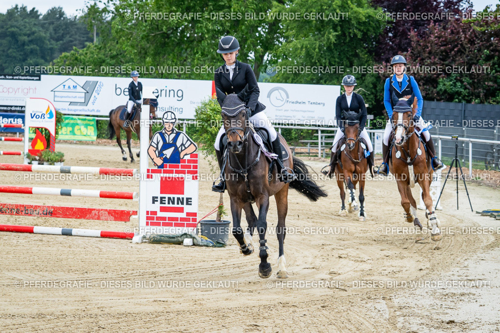 DSC03907 | Pferdegrafie