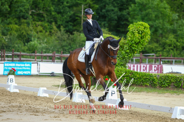 DKP45631 | Turniersportfotografie; Pferdefotografie; Dressurfotografie