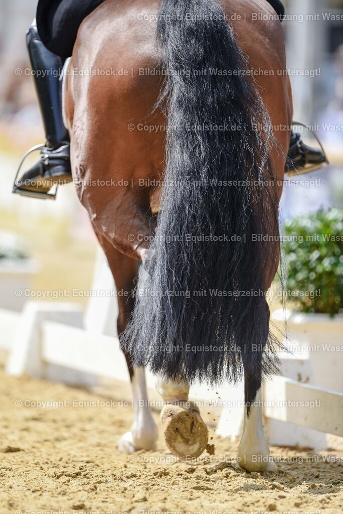 20250607_1_GP-Tour_Dressage_0183 | Foto: Thomas Hartig