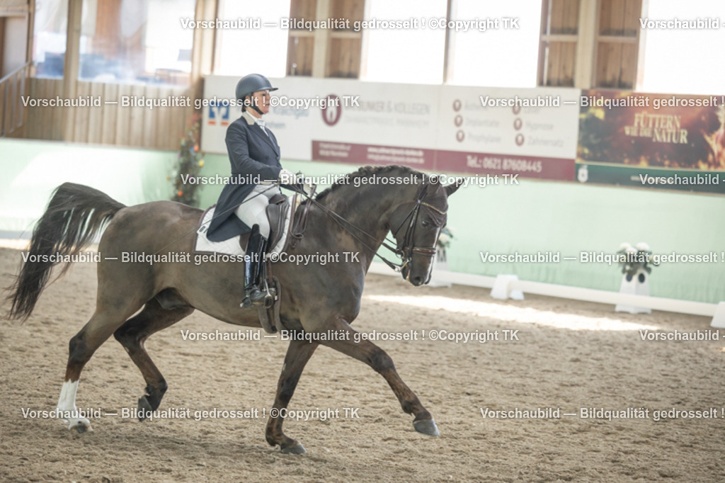 _D5A1813 | Emotionale Pferde- & People-Fotografie rund um Heidelberg, Leimen & Umgebung. Natürliche Fotos von Pferd, Mensch & Familie. Jetzt Termin sichern!