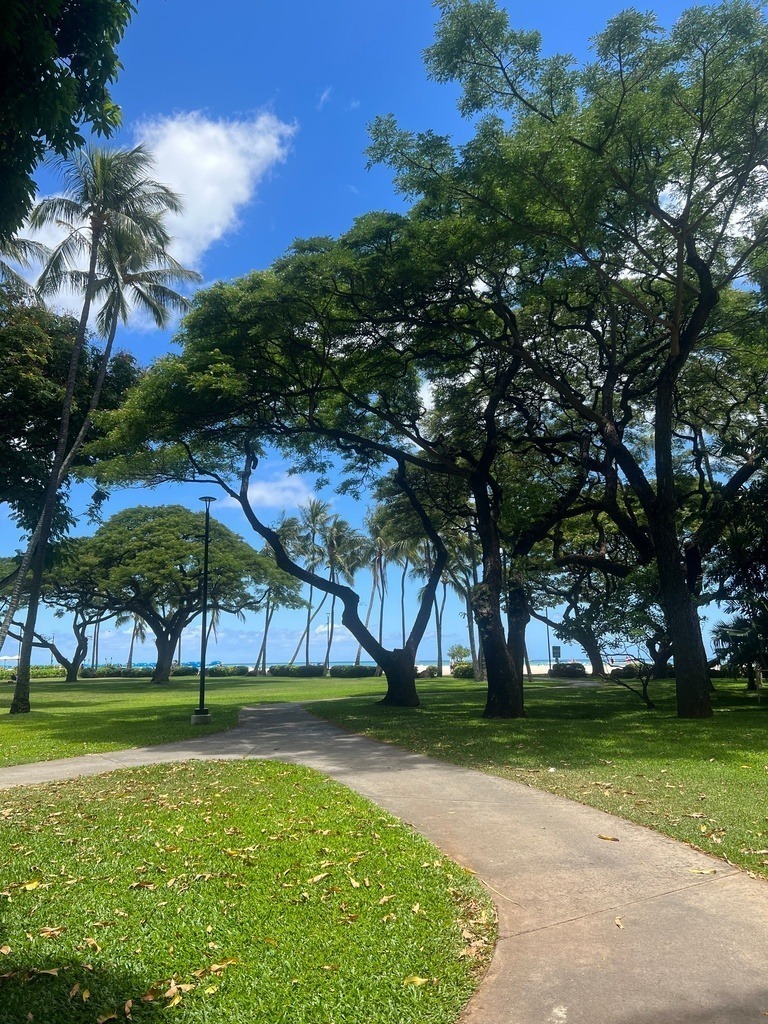 IMG_7815 | ace - Realisiert mit Pictrs.com