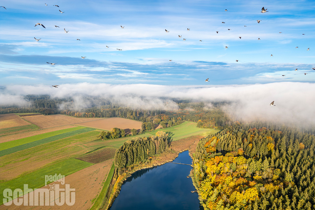 PS-FRNB-2026-69 | Entdecke die größte Bildgalerie der Region mit Fotografien aus dem Allgäu, der Bodenseeregion, Oberschwaben, dem Donautal und der Schwäbischen Alb. Landschaften, Luftaufnahmen und Reisefotografie als Wandbild und Fotokunst. - Realisiert mit Pictrs.com