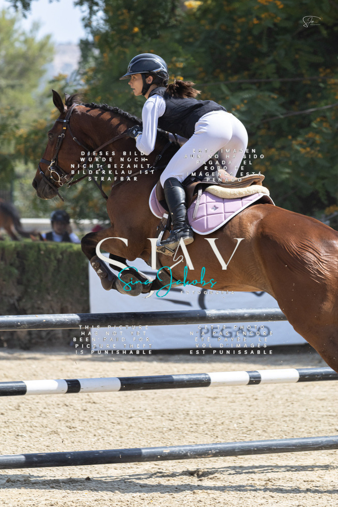 IMG_3364 | s-jay-photography - Realisiert mit Pictrs.com