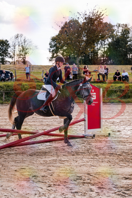 2026_10_03_Siefer-Hof_144848_Z81_26434720 | Professionelle Reitsport-, Turnier- und Eventfotografie von Robert Broda. Galerien mit ausgewählten und bearbeiteten Bildern direkt online ansehen und bestellen.