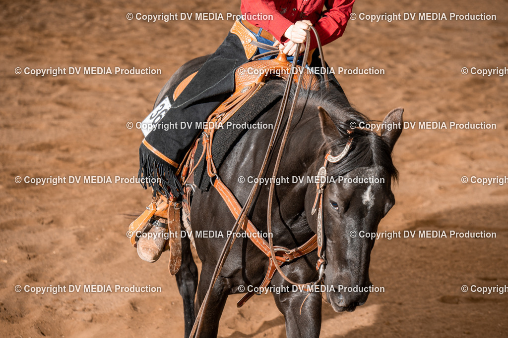 BA400806 | dv-media-shop - Realisiert mit Pictrs.com