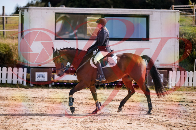 2026_10_03_Siefer-Hof_143549_Z81_04922569 | Professionelle Reitsport-, Turnier- und Eventfotografie von Robert Broda. Galerien mit ausgewählten und bearbeiteten Bildern direkt online ansehen und bestellen.