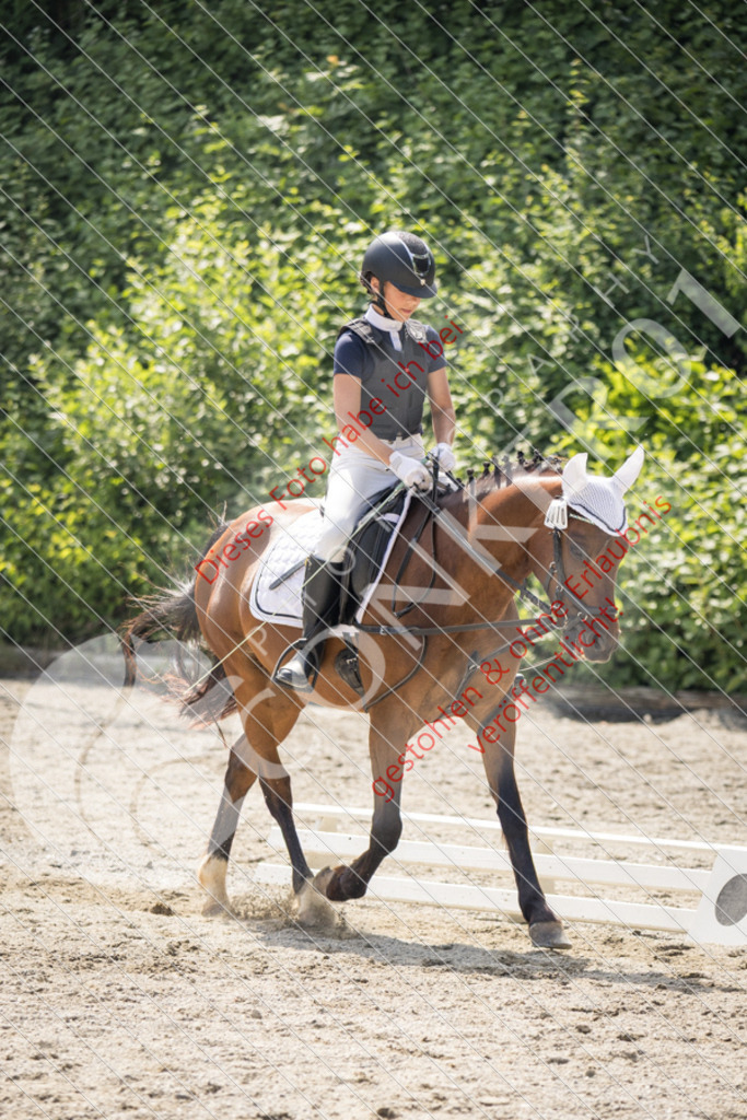 IMG_5016 | Sport-, Event- und Tierfotos in Profiqualität. Einfach auswählen, bestellen und herunterladen. Dein Moment – perfekt festgehalten.