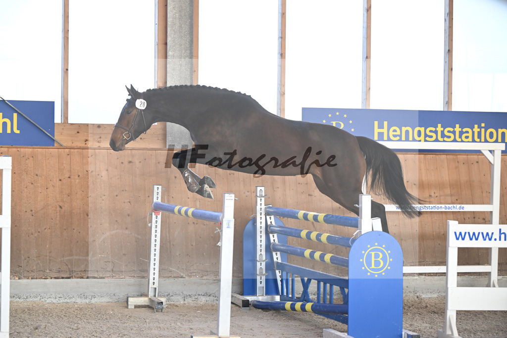 Kat-Nr. 20 Lucia M v. Conthargos_Meindl_14262167 | hf-fotografie - Realizzato con Pictrs.com