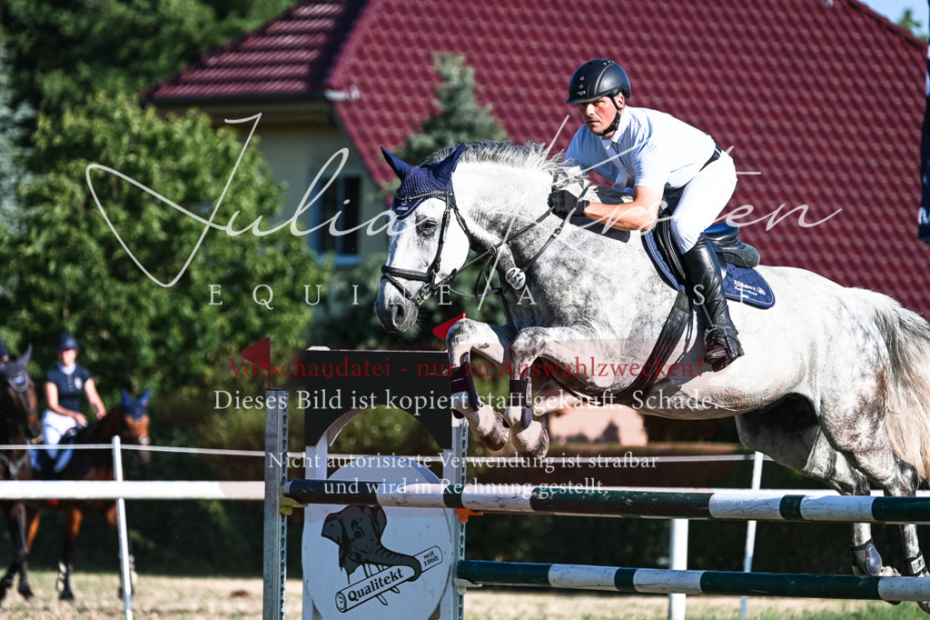 DSC_2800 | Pferde- und Turnierfotografie in Westsachsen. Pferdeportraits, Auftragszeichnungen und intuitive Kunst.
