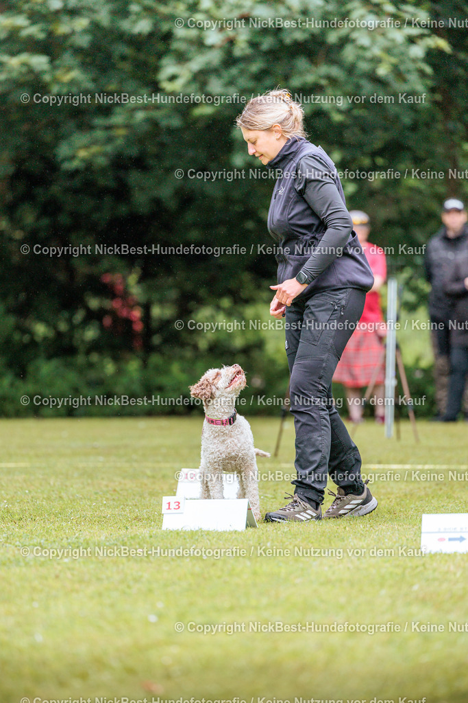RO-Blumenthal-2026-Nickbest-Hundefotografie-0377 | Dein Hund! Dein Moment! Deine Erinnerungen! Hundefotografie in Bremen Blumenthal. Ich fange die besonderen Momente deines Vierbeiners ein – ob Indoor mit Blitzanlage oder in der freien Natur. Sicher dir dein Moment und dein Termin für eure Erinnerungen.