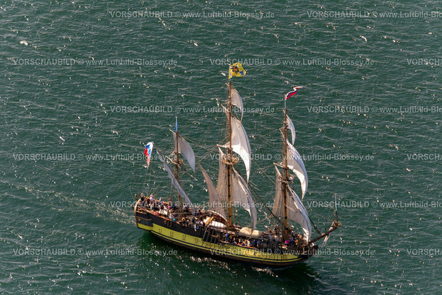 Warnmuende12084362HanseSail | Segelboote auf der Hanssail, Rostocker Hansesail,  Rostock,  Ostsee, Ostseeküste, Mecklenburg-Vorpommern, Deutschland, Europa