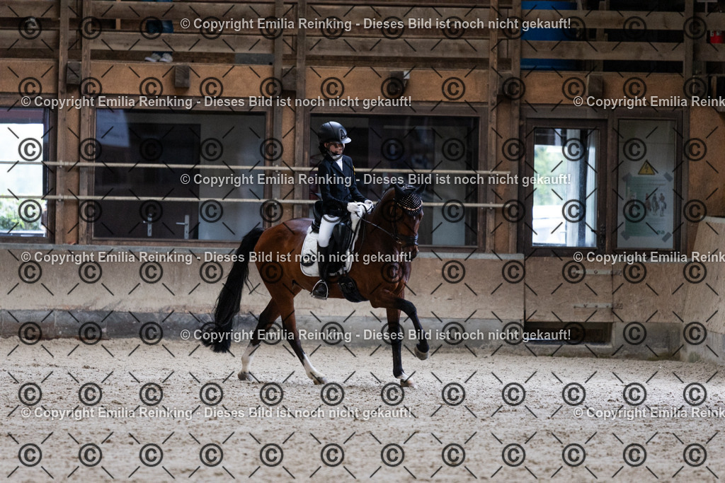 CL5A5024 | Emilia Reinking Fotografie - Realisiert mit Pictrs.com