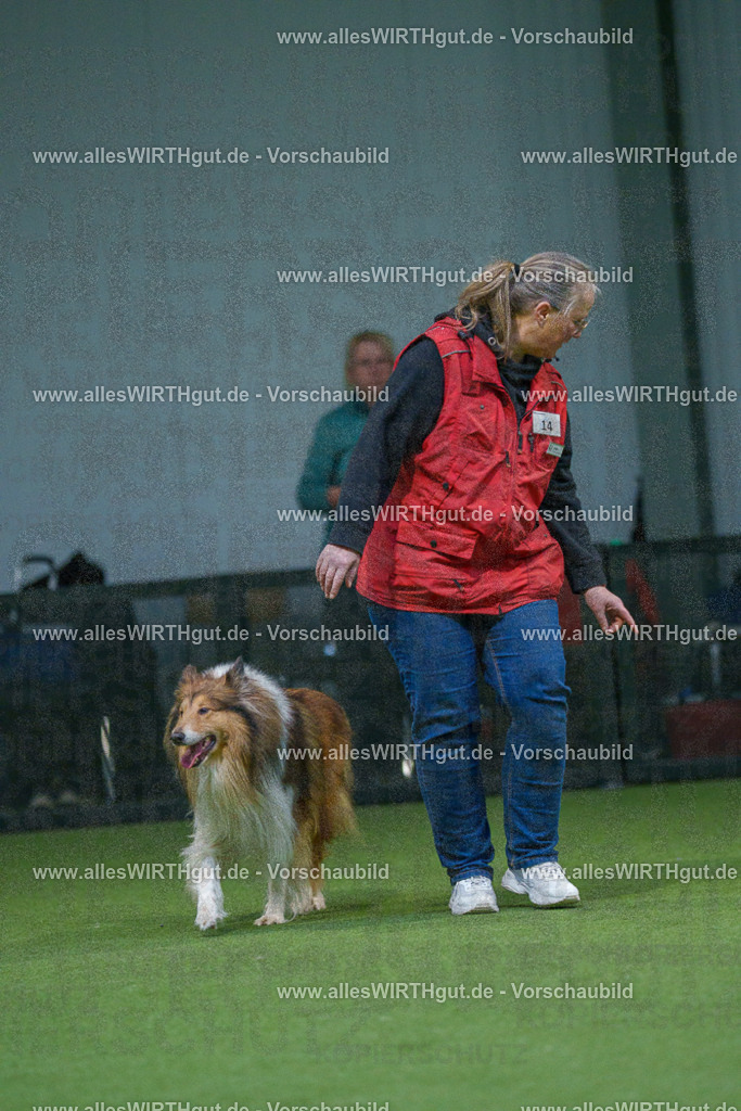 7R500436 | Professionelle Tierfotografie in Mönchengladbach von Daniel Wirth (allesWIRTHgut). Liebevolle & natürliche Bilder von Hunden & Katzen für unvergessliche Erinnerungen.