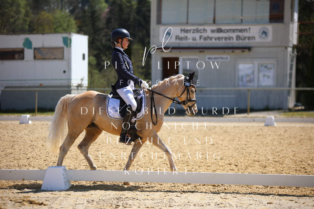 IMGT2338 | pl-fotografie