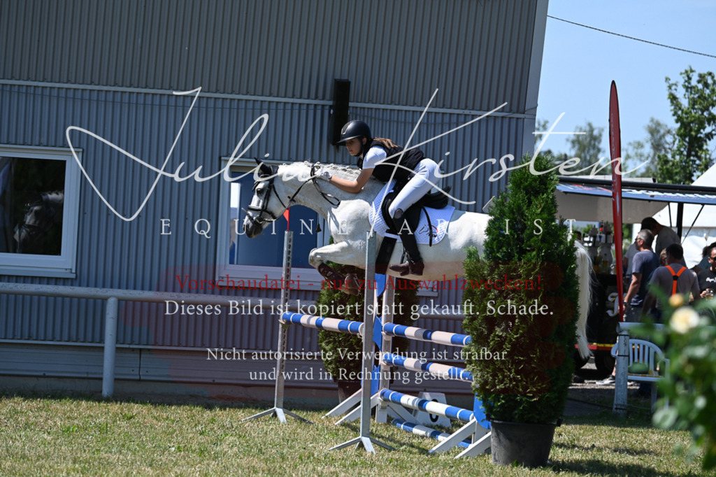 DSC_0853 | Pferde- und Turnierfotografie in Westsachsen. Pferdeportraits, Auftragszeichnungen und intuitive Kunst.