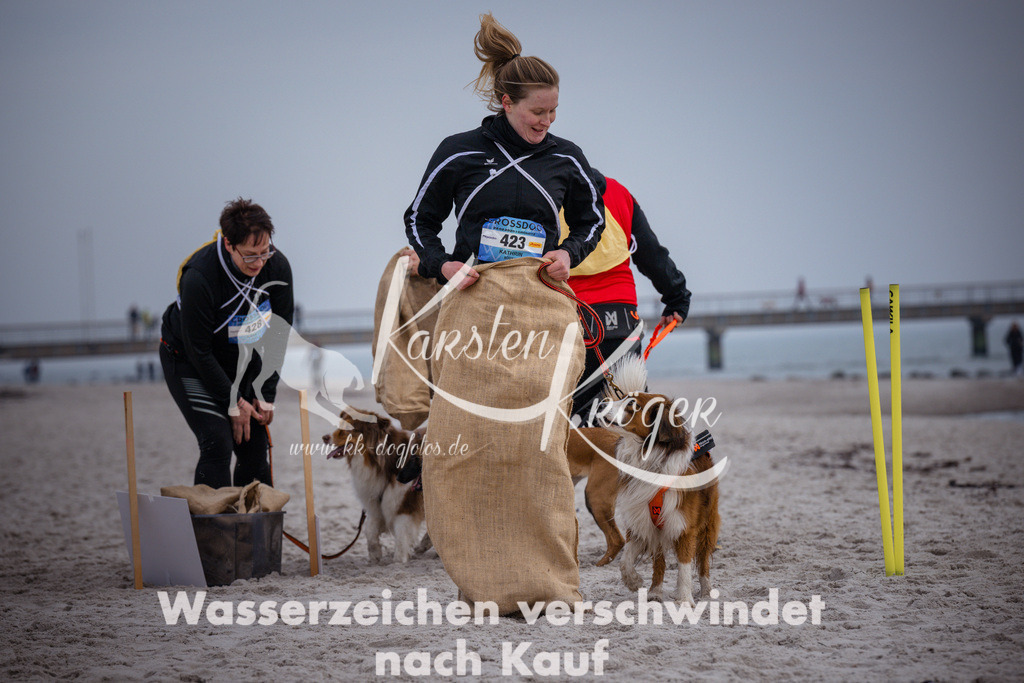 1201_ZZ91698 | kk-dogfotos