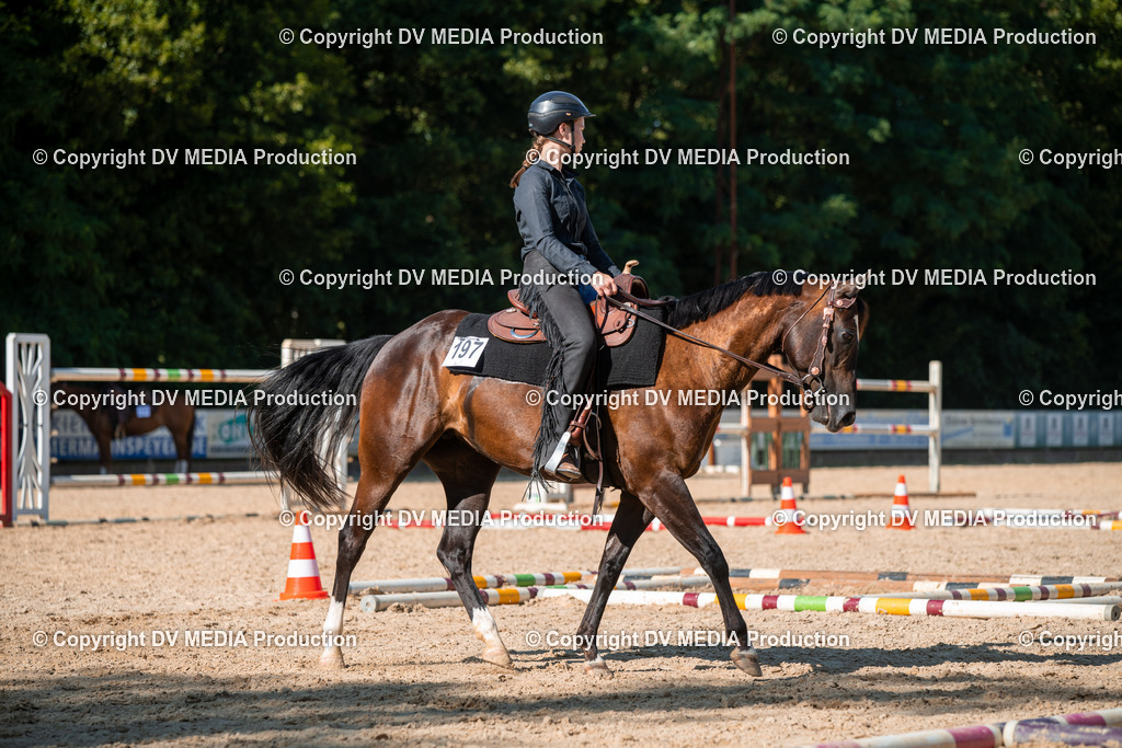 EWP_6977 | dv-media-shop - Realisiert mit Pictrs.com