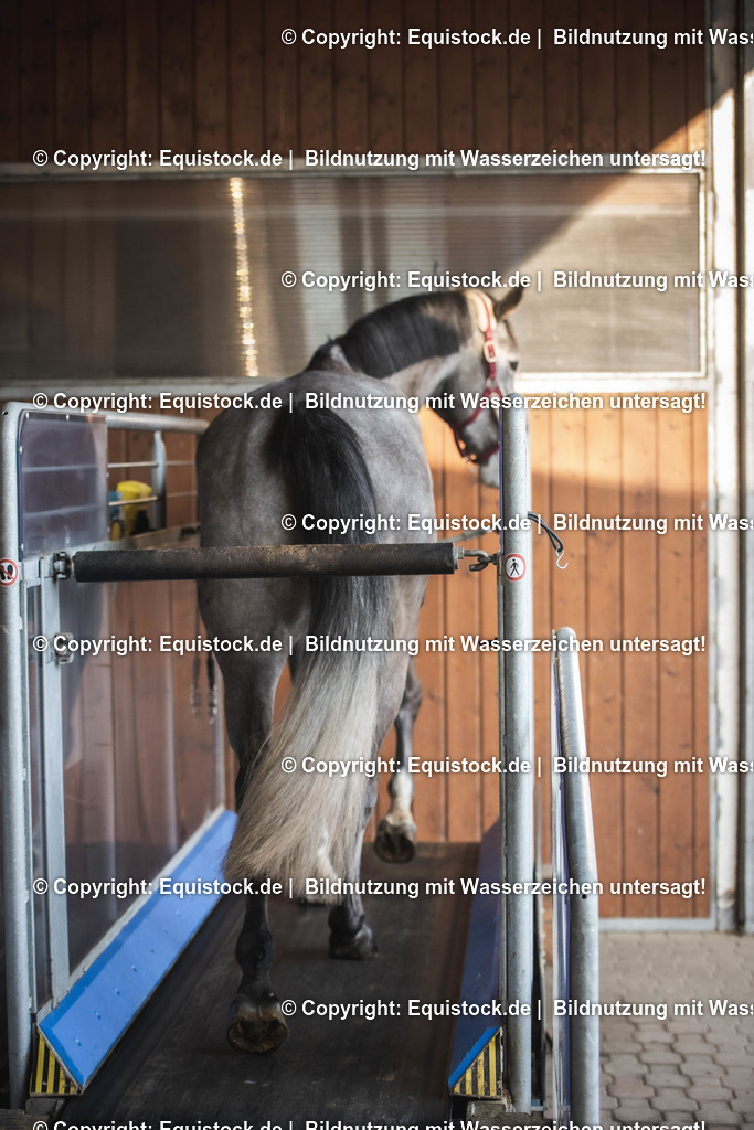 20200118_Laufband_0029 | Foto: Thomas Hartig