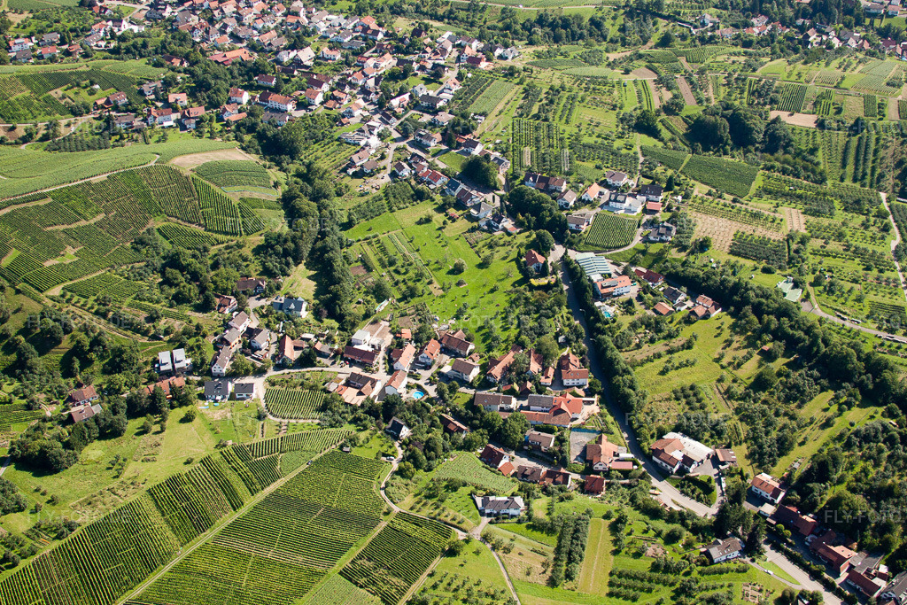 Luftbild: Ortsansicht der Straßen und Häuser der Wohngebiete im Ortsteil Riegel in Bühl im Bundesland Baden-Württemberg in Deutschland. Foto: IMG_31398.jpg vom 09.08.2010 durch Werner Riehm/FLY-FOTO.de