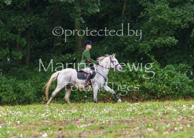 Jagd Perdoel 26 Sony-03539_MarinaHewig | Fotografie, FotoArt, PferdesportArt, Pferdesportfotografie, Landschaftsfotografie, Reisefotografie, Reise, Pferde - Realisiert mit Pictrs.com