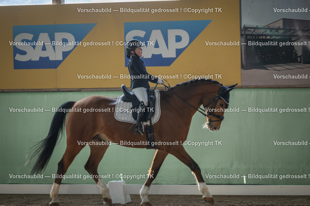 _D5A8221 | Emotionale Pferde- & People-Fotografie rund um Heidelberg, Leimen & Umgebung. Natürliche Fotos von Pferd, Mensch & Familie. Jetzt Termin sichern!