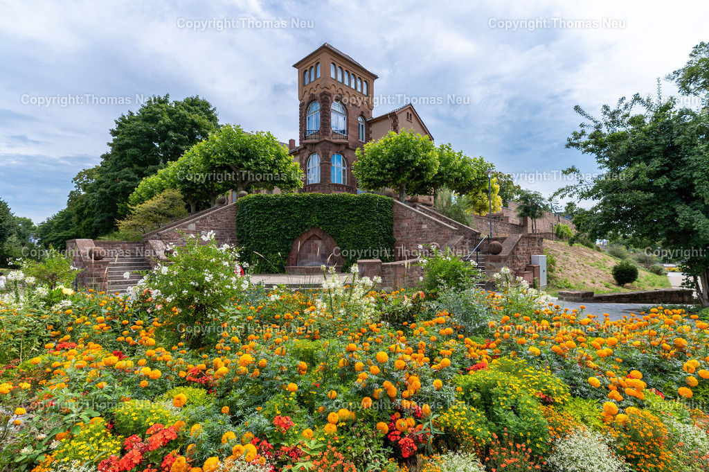 Worms-2025DSC_8711 | Die Stadtmauer bei St. Andreas in Worms gehört zu den ältesten mittelalterlichen Stadtbefestigungen Deutschlands. Gut erhaltene Sandsteinmauern und ein markantes Tor prägen dieses historische Wahrzeichen in der Wormser Altstadt.