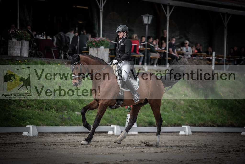 DSC_2203 | equestrian-live-com