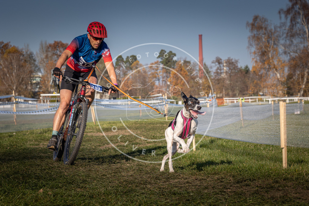 CaniXpix_0L8A6541 | Hundefotografie, Tierfotograf, Pfotenfotografie, Fotoshooting Hund, Hunde Portrait, Hundesport, Hundeportraits, Heideshooting, Hunde, Sportfotograf, Hundefotograf, Turnierhundsport, THS,  - Realisiert mit Pictrs.com