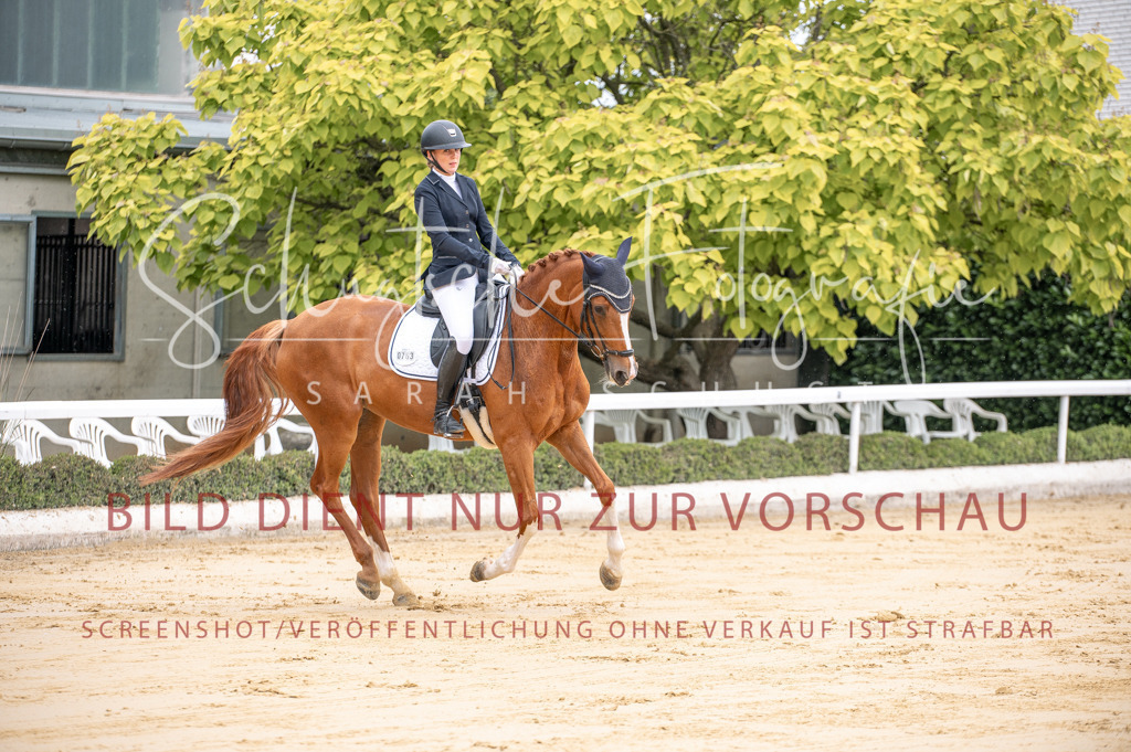 Schugtsche-Aluta25-41.Amat-Dressurprf.A_-37 | Schugtsche Fotografie - Realisiert mit Pictrs.com