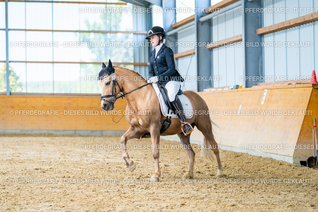 DSC07618 | Pferdegrafie