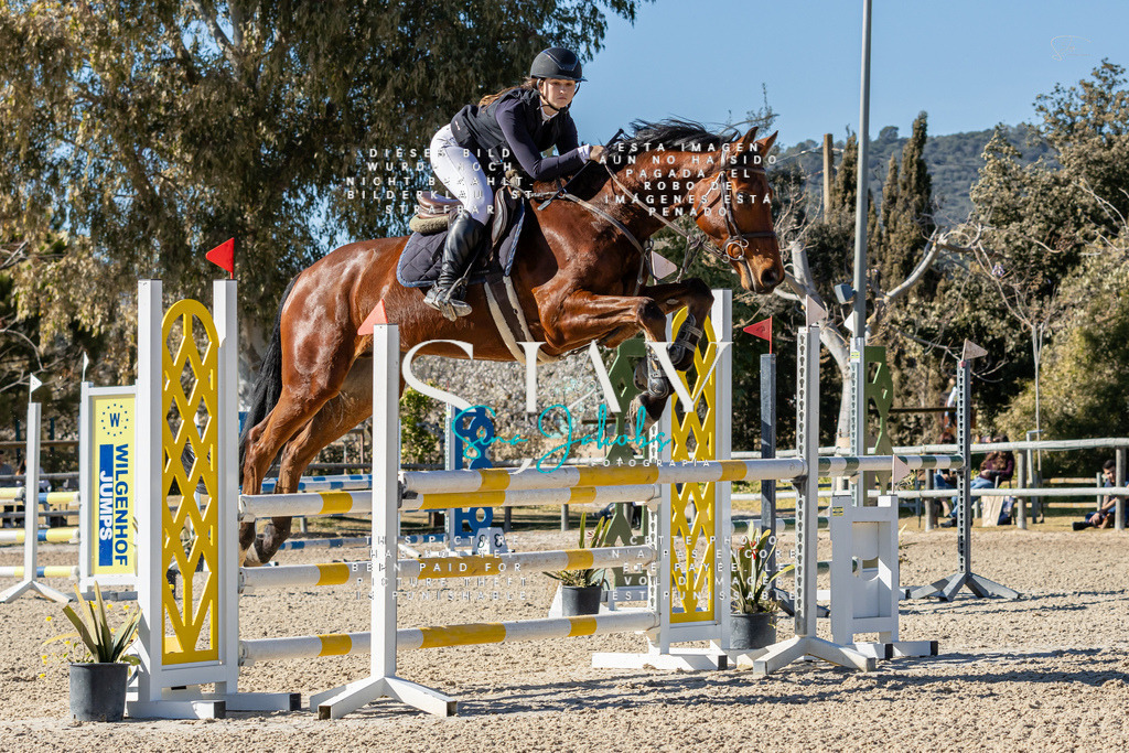 IMG_1301 | s-jay-photography - Realisiert mit Pictrs.com