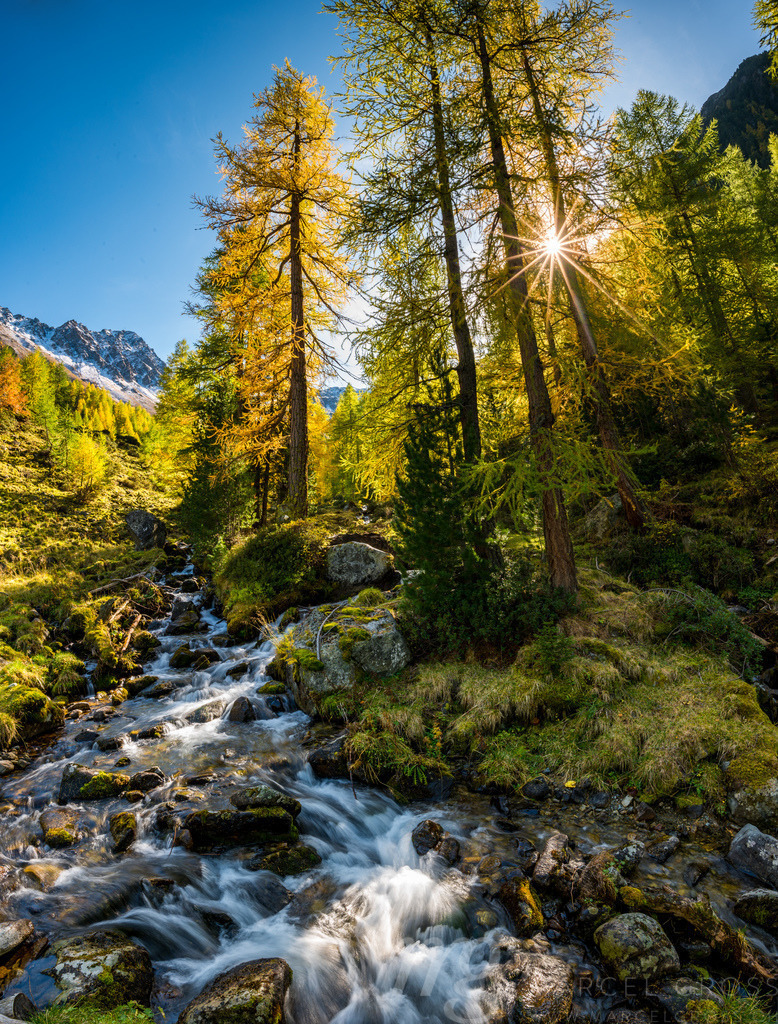 October creek | wonderful mountain creek in Val Zeznina with yellow larches and Piz Macun - Realisiert mit Pictrs.com